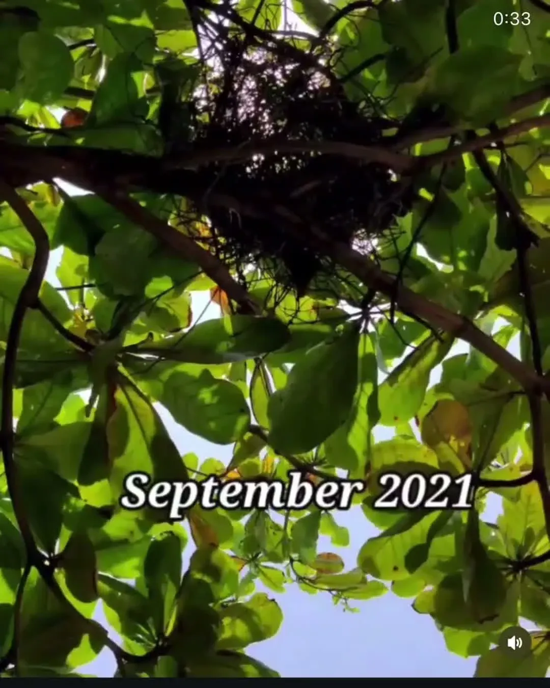 September 2021
