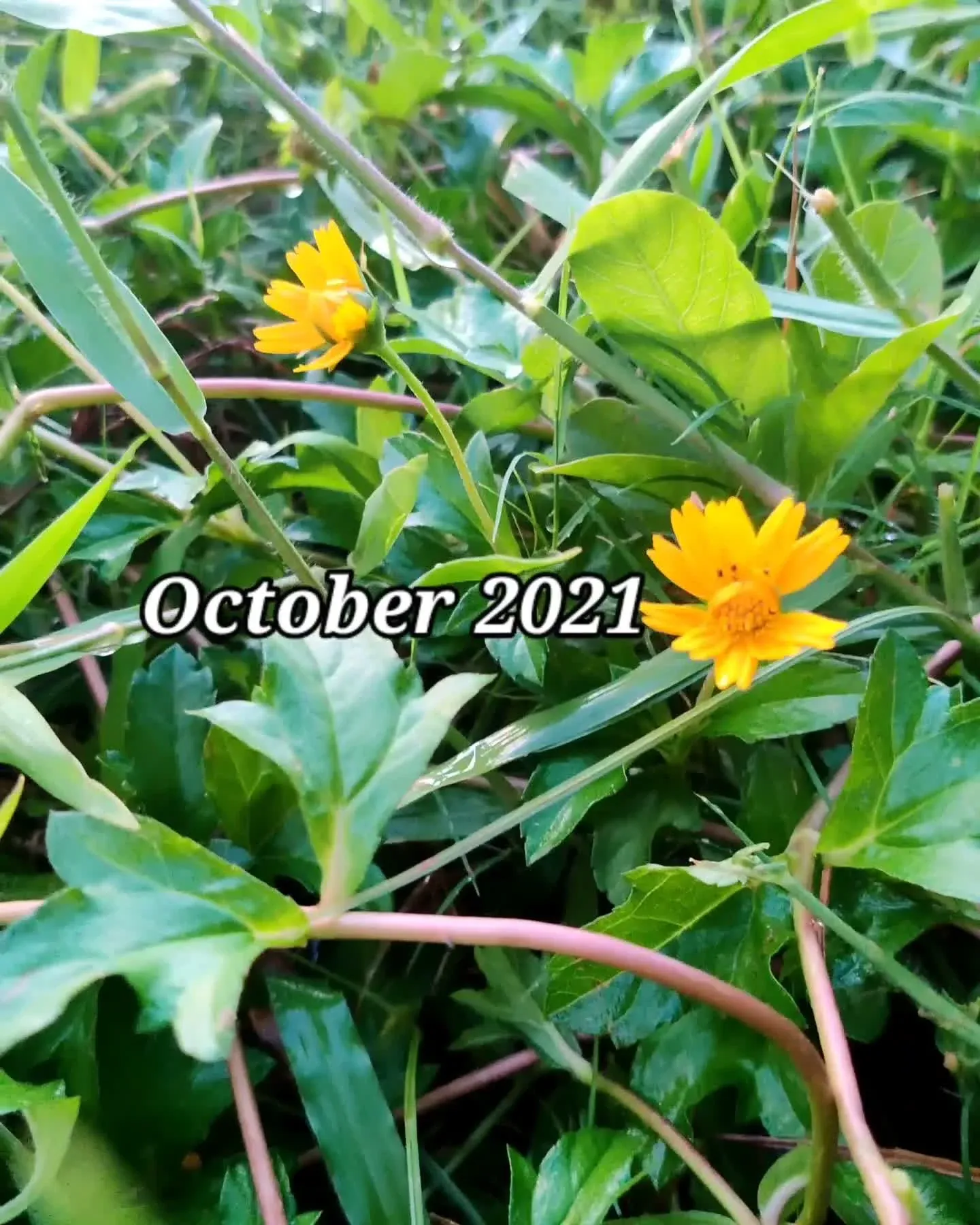 October 2021