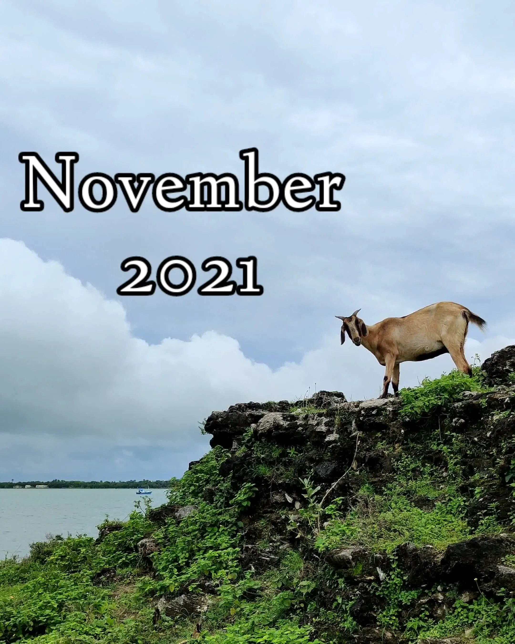 November 2021