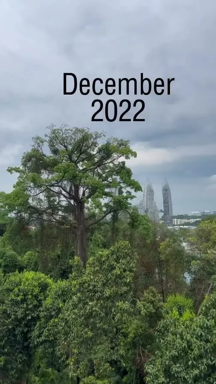 December 2022